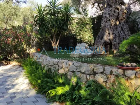 Prodaja, kuća, 350m², Bar, Crna Gora - image 6