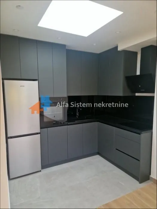 Modern dark-toned kitchen with built-in appliances and a roof skylight.