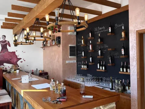 Poslovni prostor in Rijeka Crnojevića