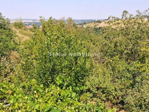Prodaja, kuća, 30m², Ledinci, Petrovaradin - image 33