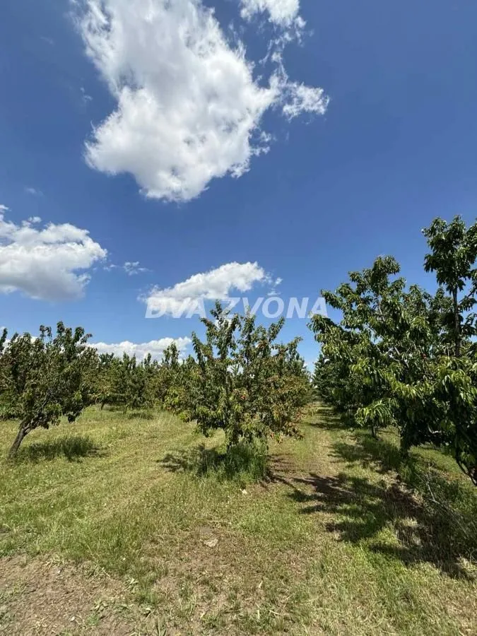 Prodaja, plac, 28700m², Novi Slankamen, Inđija