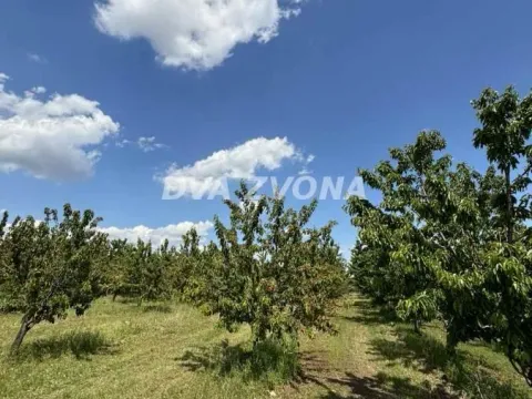 Prodaja, plac, 287m², Novi Slankamen, Inđija - image 14