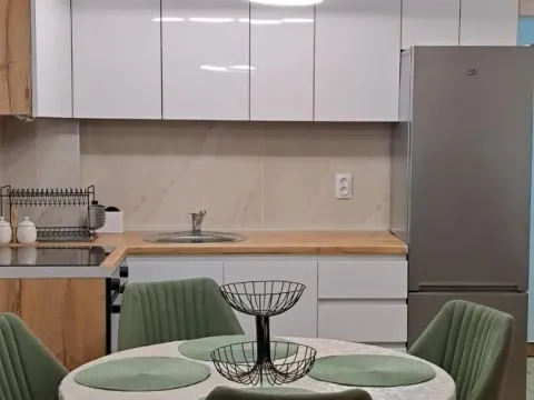 Rent, two bedroom apartment, 45m², Pantelej, Niš