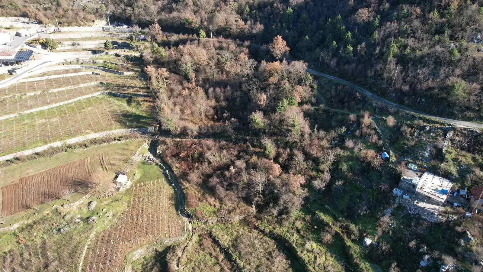 Prodaja, plac, 4400m², Cetinje, Crna Gora