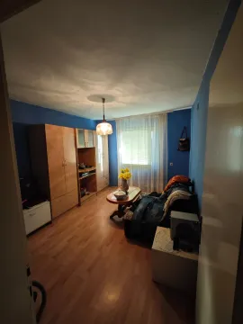 Dnevna soba sa garniturom, drvenim nameštajem i plavim zidovima. - image 12