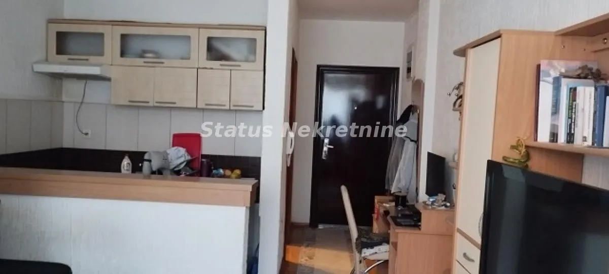 Izdavanje, garsonjera, 25m², Bulevar Oslobodjenja, Novi Sad Sve Podlokacije
