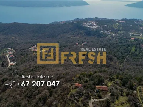 Prodaja, plac, 15000m², Herceg Novi, Crna Gora - image 7