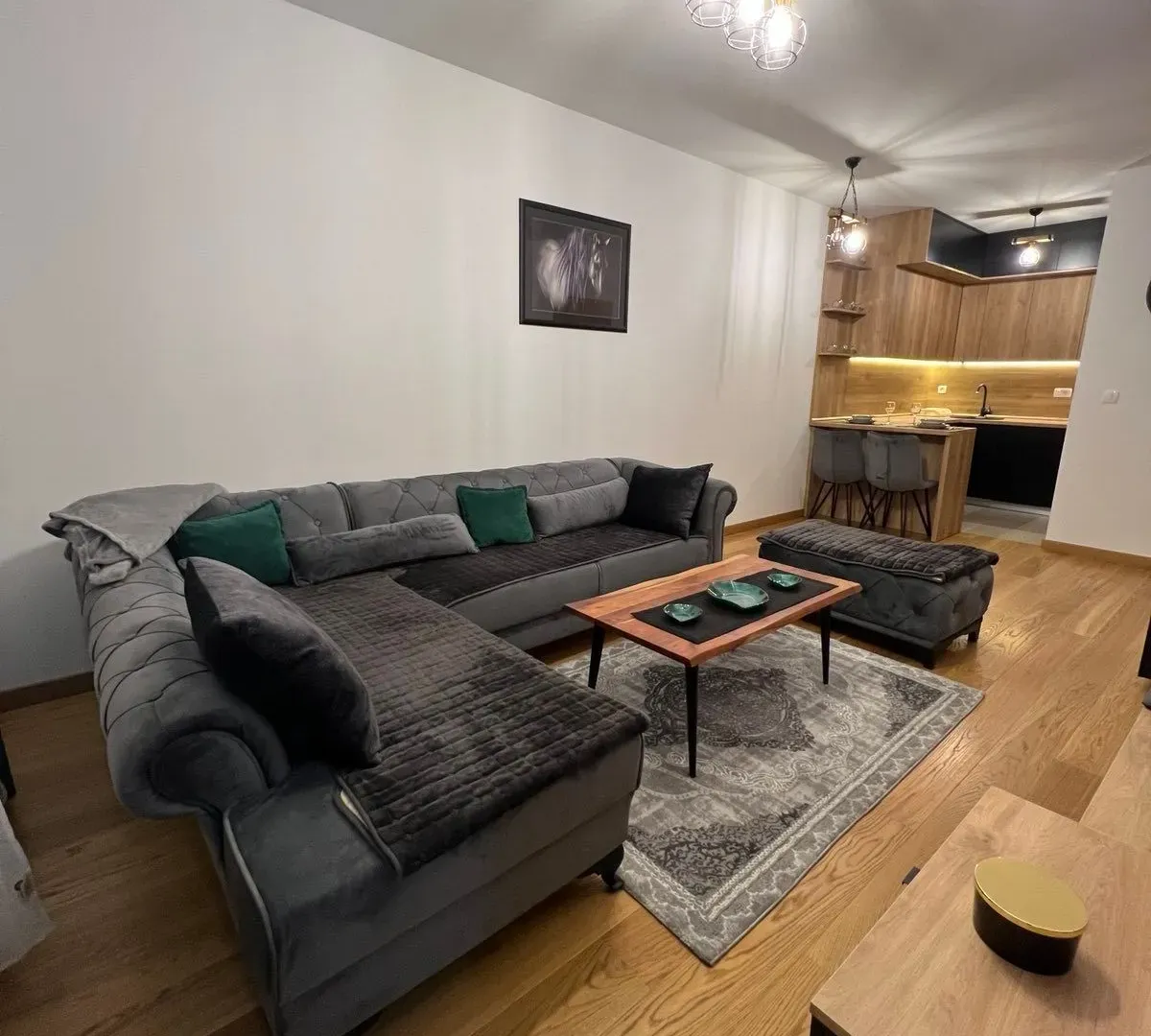 Rent, one bedroom apartment, 50m², New City, Podgorica