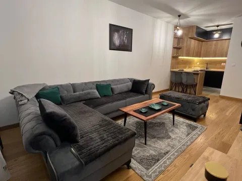 Rent, one bedroom apartment, 50m², New City, Podgorica - image 3