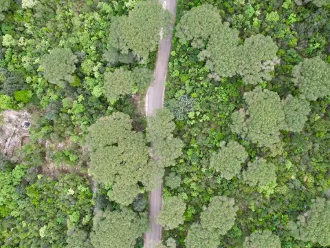 Prodaja, plac, 1046m², Herceg Novi, Crna Gora - image 8