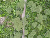 Prodaja, plac, 1046m², Herceg Novi, Crna Gora - image 8