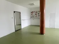 Izdavanje, poslovni prostor, 500m², Stari Grad, Beograd - image 4