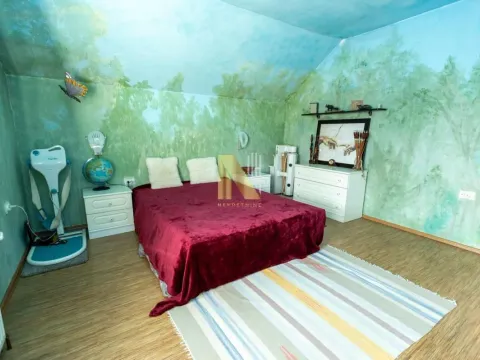 Sale, house, 240m², Salajka, Novi Sad Sve Podlokacije - image 25