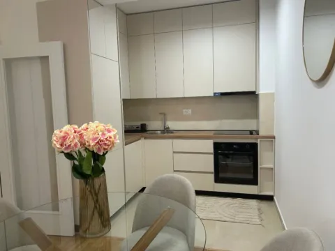 Izdavanje, jednosoban stan, 45m², Zabjelo, Podgorica - image 4