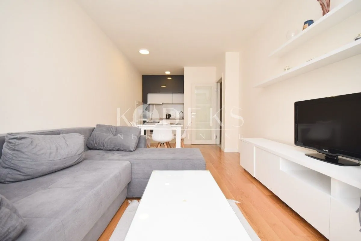 Izdavanje, jednosoban stan, 47m², Central Point, Podgorica