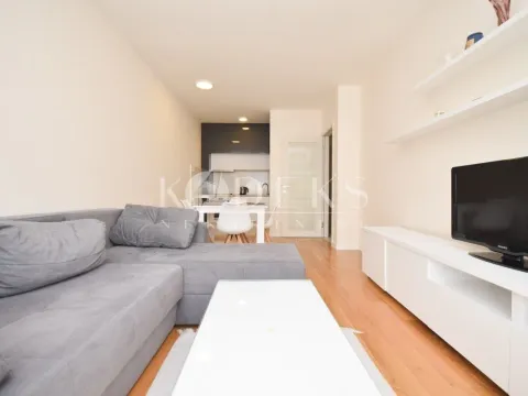 Izdavanje, jednosoban stan, 47m², Central Point, Podgorica - image 1