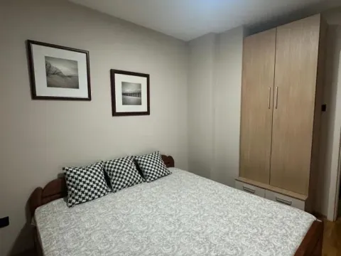 Rent, two bedroom apartment, 48m², Bulevar Oslobodjenja, Novi Sad Sve Podlokacije - image 11