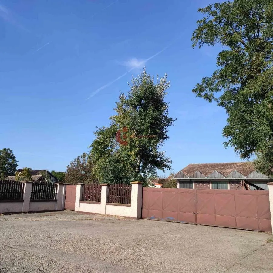 Izdavanje, poslovni prostor, 542m², Kelebija, Subotica