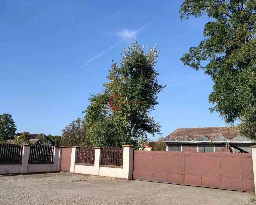 Izdavanje, poslovni prostor, 542m², Kelebija, Subotica