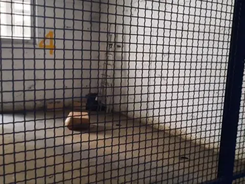 Rent, parking/garage, 26m², Južni Bulevar, Vračar Sve Podlokacije - image 14