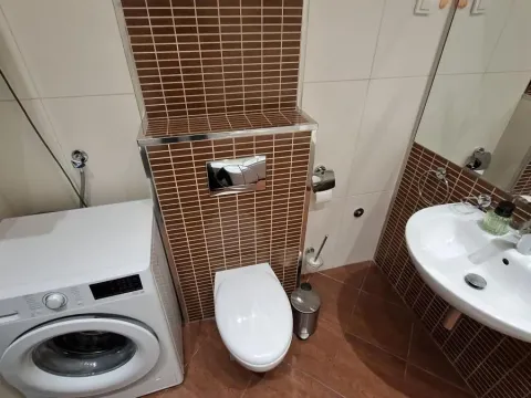 Izdavanje, dvosoban stan, 48m², Bulevar Oslobodjenja, Novi Sad Sve Podlokacije - image 13