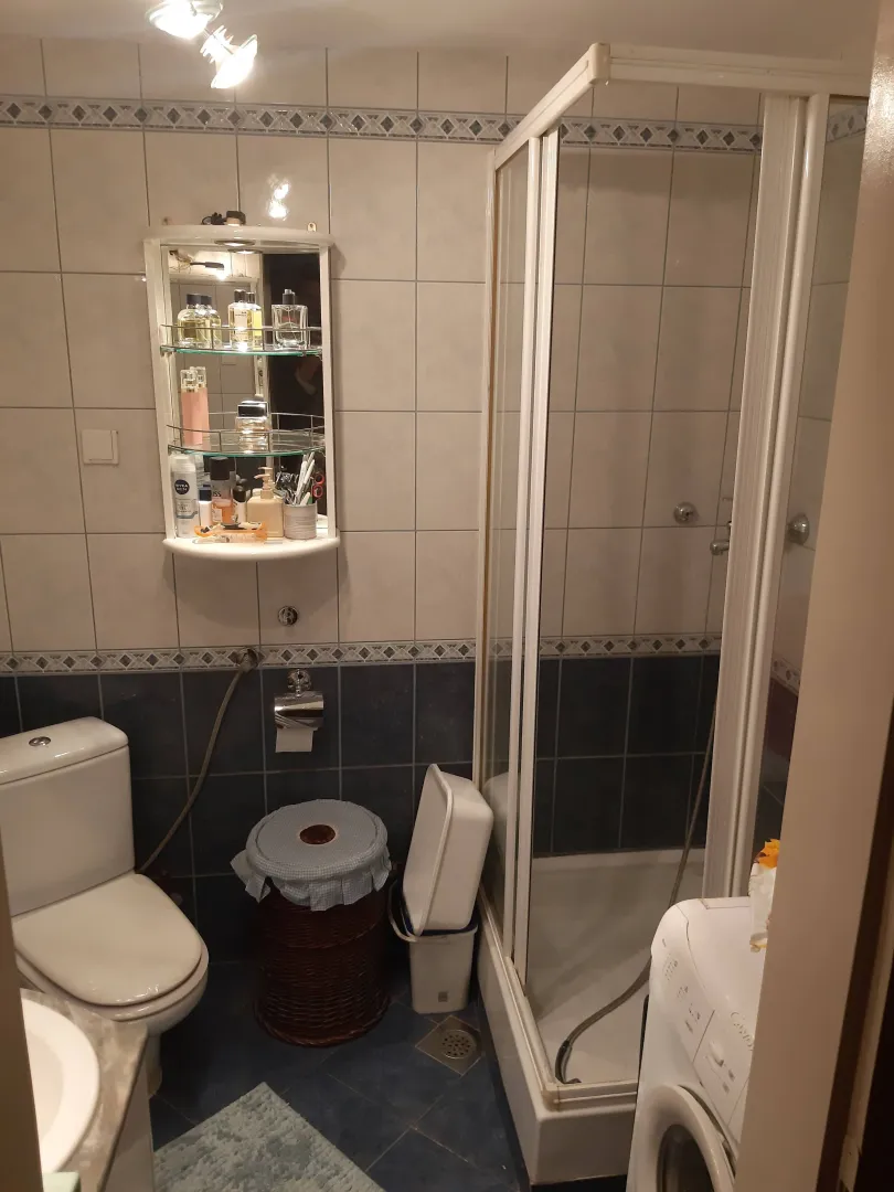 Manje kupatilo sa tuš kabinom, WC šoljom, umivaonikom i veš mašinom.