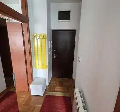 Izdavanje, dvosoban stan, 55m², Zvezdara Sve Podlokacije, Beograd - image 5