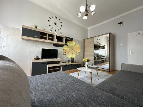 Izdavanje, jednosoban stan, 64m², Centar, Podgorica - image 10