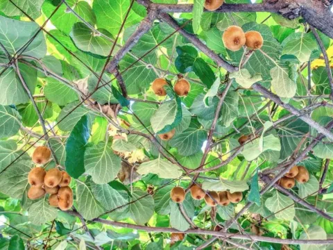 Sale, office space, 487m², Centar, Budva - image 7