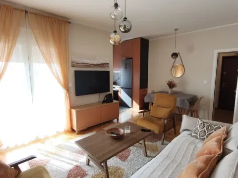 Rent, one bedroom apartment, 48m², Zabjelo, Podgorica - image 8