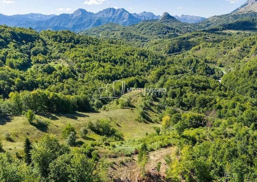 Sale, land lot, 140000m², Crkvine, Kolašin
