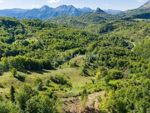 Prodaja, plac, 140000m², Crkvine, Kolašin - image 3