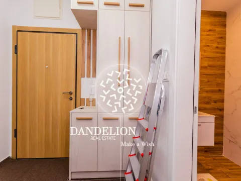 Izdavanje, jednosoban stan, 46m², Vezirov Most, Podgorica - image 10