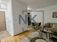 Izdavanje, jednosoban stan, 42m², Zabjelo, Podgorica - image 12