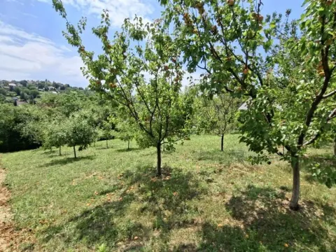 Prodaja, plac, 3000m², Bocke, Petrovaradin - image 14