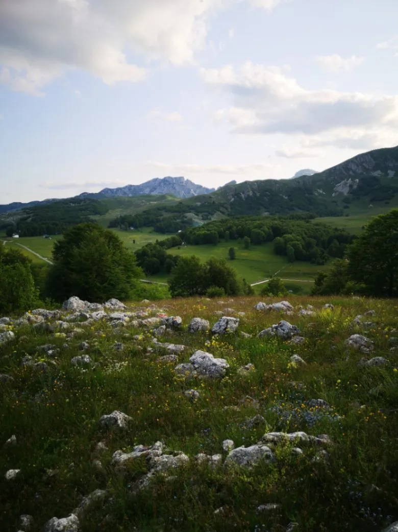 Prodaja, plac, 1708m², Pošćenski Kraj, Žabljak
