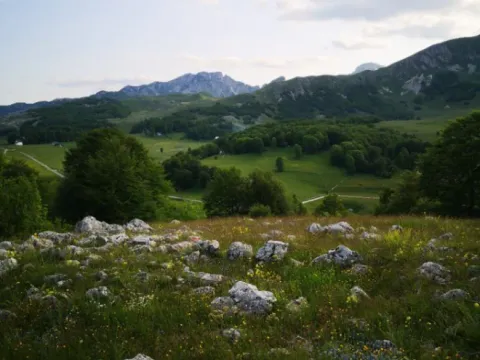 Sale, land lot, 1708m², Pošćenski Kraj, Žabljak - image 4