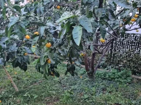 Sale, two bedroom apartment, 57m², Bečići, Budva - image 8