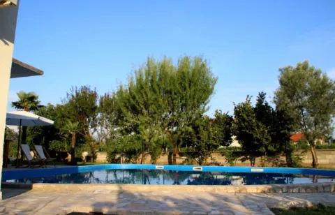 Yard with a swimming pool and sun loungers. - image 2