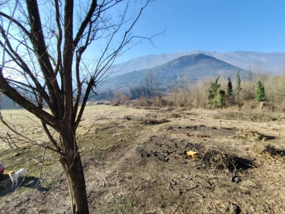 Prodaja, plac, 8318m², Frutak, Danilovgrad