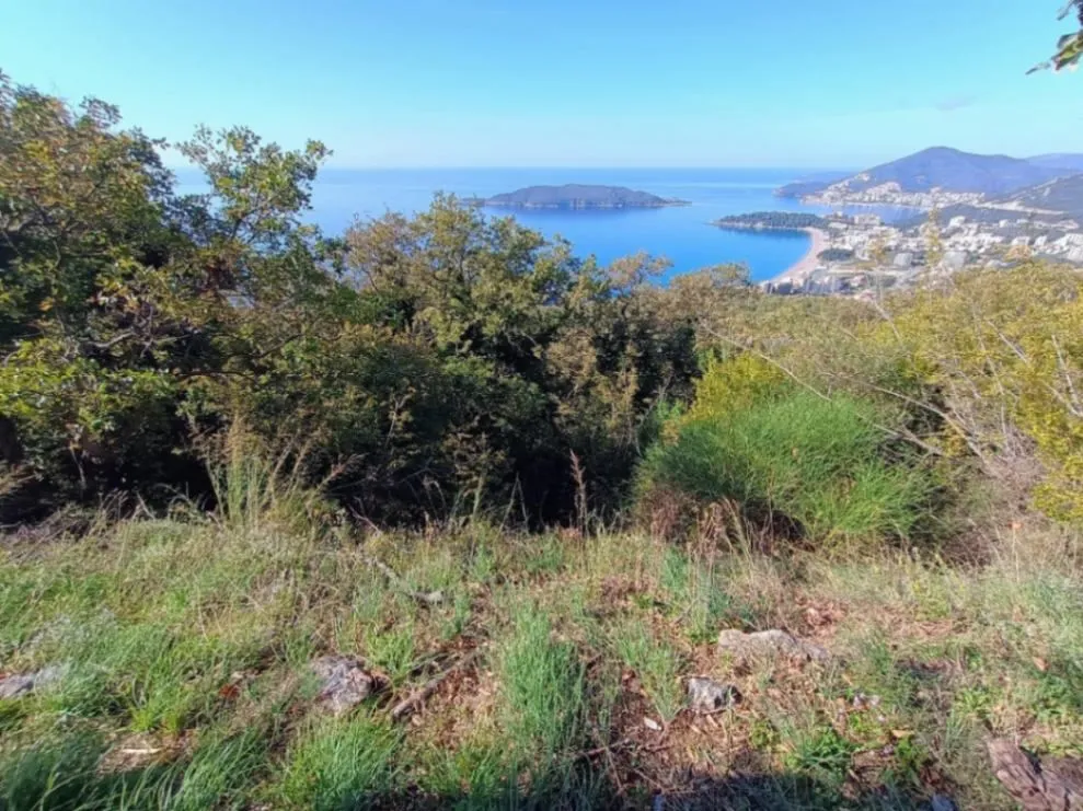 Prodaja, plac, 3800m², Kuljače, Budva
