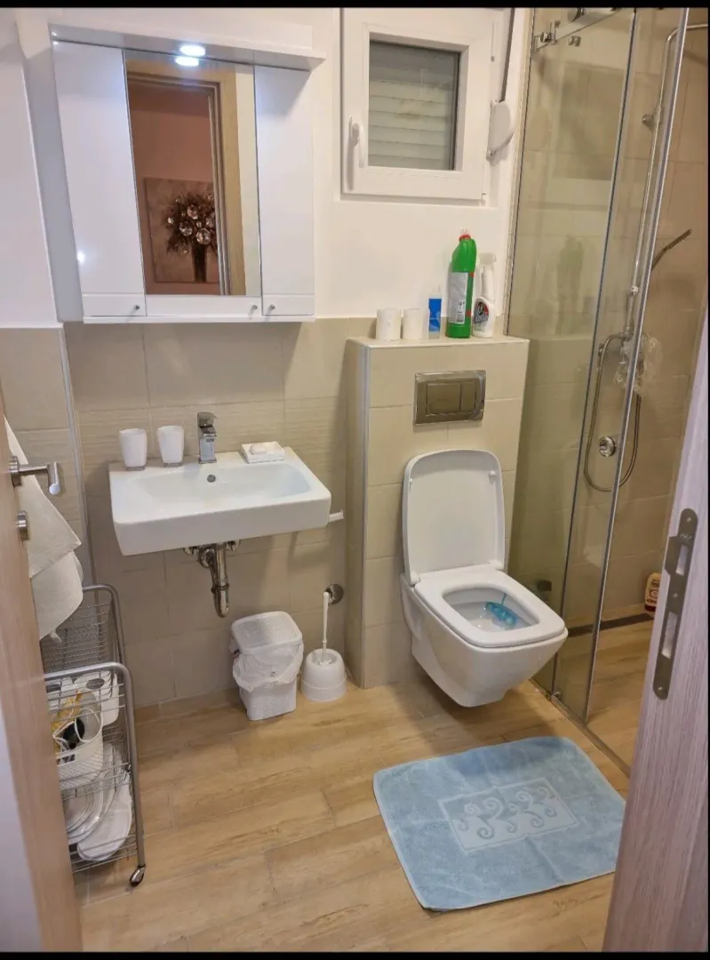 Small bathroom with a sink, toilet, and walk-in shower.