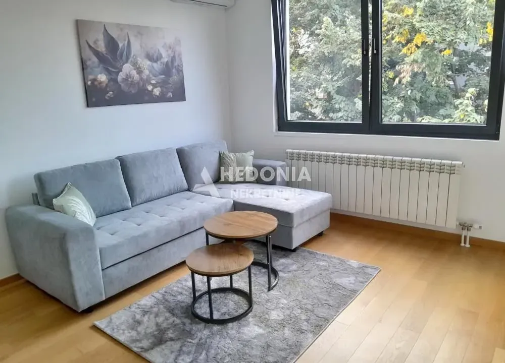 Izdavanje, dvosoban stan, 52m², Novi Beograd Blok 65, Novi Beograd Sve Podlokacije
