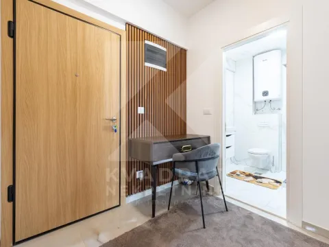 Rent, one bedroom apartment, 55m², Zagorič, Podgorica - image 12