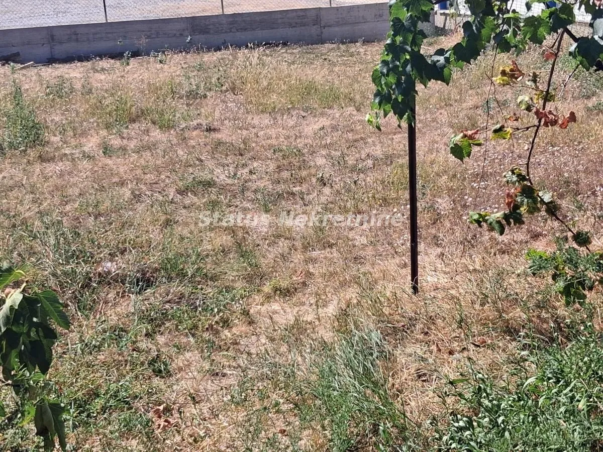 Pogled na plac sa travnatom površinom i zelenilom.
