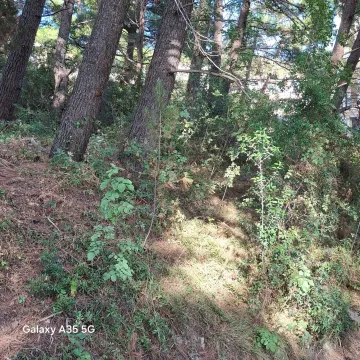 Sale, land lot, 1500m², Zeleni Pojas, Bar - image 3