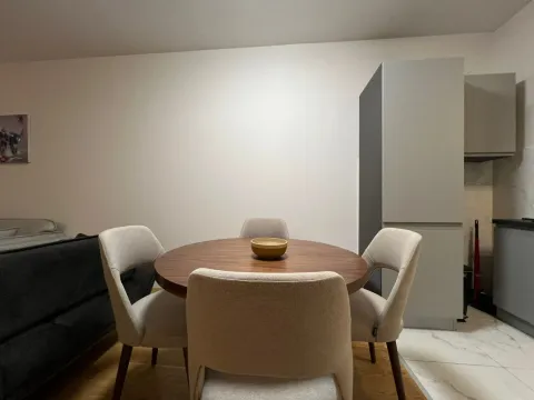 Izdavanje, jednosoban stan, 57m², Kruševac, Podgorica - image 5