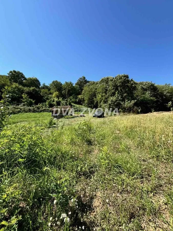 Sale, land lot, 6000m², Čortanovci, Inđija