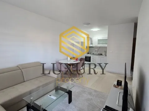 Rent, one bedroom apartment, 43m², Zabjelo, Podgorica - image 2