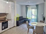 Izdavanje, garsonjera, 33m², Bečići, Budva - image 8